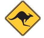 North Perth Skippycoin ICG North Perth Skippycoin ICG